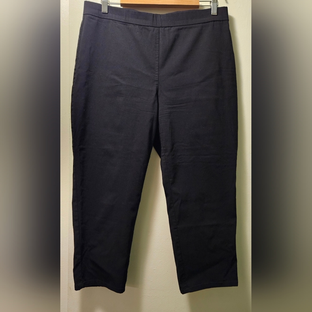 Black Style & Co Stretch Capris Size L